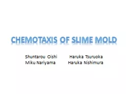 Chemotaxis  of slime mold