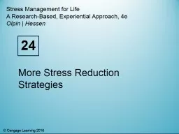 More Stress Reduction Strategies