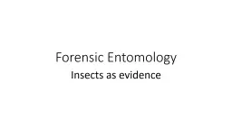 Forensic Entomology Insects as evidence