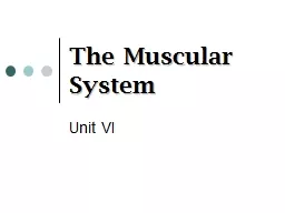 The Muscular System Miss Ulrich