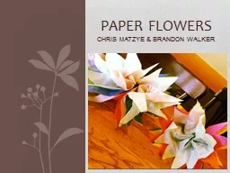Paper FLOWERS Chris  Matzye