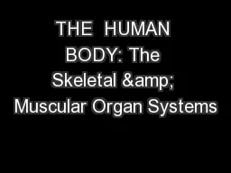 THE  HUMAN BODY: The Skeletal & Muscular Organ Systems