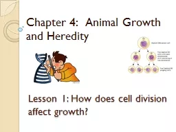 Lesson 1: How does cell division affect growth?