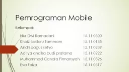 Pemrograman  Mobile Nur