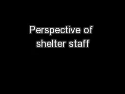 Perspective of shelter staff