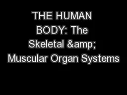 THE HUMAN BODY: The Skeletal & Muscular Organ Systems