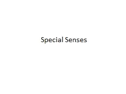 Special Senses I.  Eye
