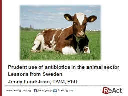 Prudent   use   of  antibiotics in the animal