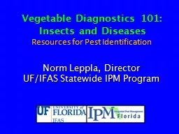 Vegetable  Diagnostics 101