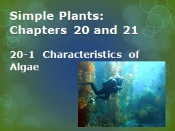Simple Plants: Chapters 20 and
