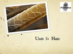 Unit 5:  Hair Objective : SWBAT identify forensic evidence found in hair samples.
