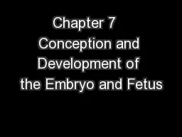 Chapter 7   Conception and Development of the Embryo and Fetus