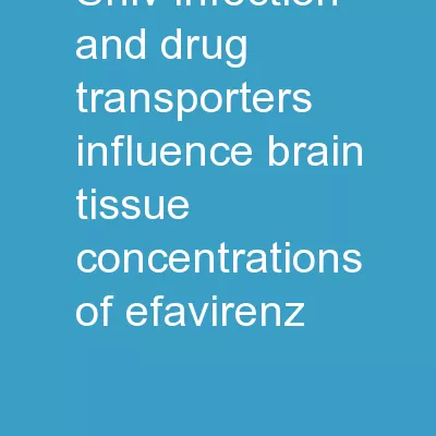 SHIV Infection and Drug Transporters Influence Brain Tissue Concentrations of Efavirenz