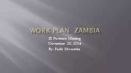 WORK PLAN- ZAMBIA III Partners Meeting