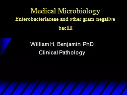 Medical Microbiology Enterobacteriaceae and other gram negative bacilli