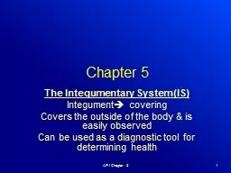 Chapter 5 The Integumentary System (IS)