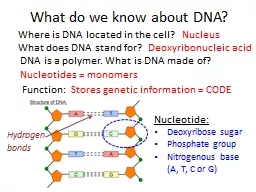 What do we know about DNA?