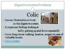 Digestive System Problems