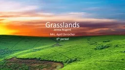 Grasslands Jenna Nugent Mrs. April