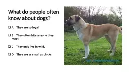 What do people often know about dogs?