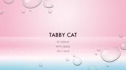 Tabby Cat  By Ashlyn Fifth Grade