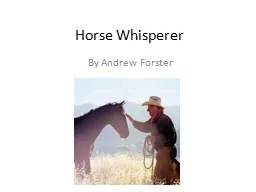 Horse Whisperer By Andrew Forster