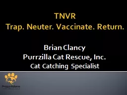 TNVR Trap. Neuter. Vaccinate. Return.