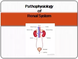 Pathophysiology  of  Renal System