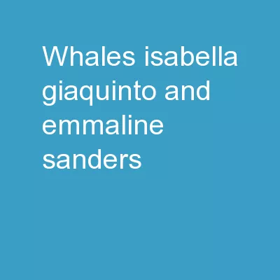 Whales Isabella Giaquinto and Emmaline Sanders