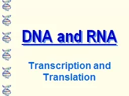 DNA and RNA Transcription and Translation