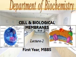 CELL & BIOLOGICAL MEMBRANES