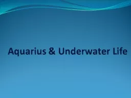 Aquarius & Underwater Life