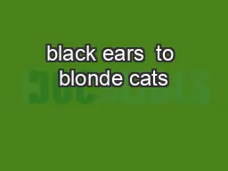 black ears  to blonde cats
