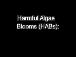 Harmful Algae  Blooms (HABs):