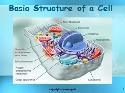 1 Basic Structure of a Cell