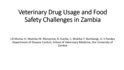 Veterinary Drug Usage and Food Safety Challenges in Zambia