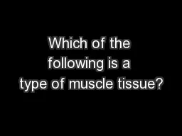 Which of the following is a type of muscle tissue?