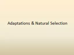 Adaptations & Natural Selection