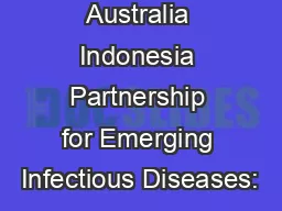Australia Indonesia Partnership for Emerging Infectious Diseases:
