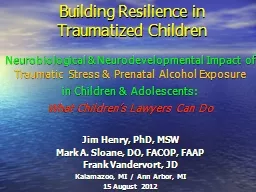 Building Resilience in  Traumatized Children