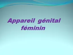 Appareil génital 	   féminin