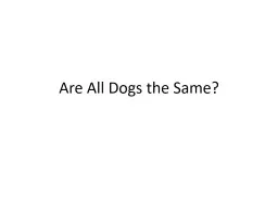 Are All Dogs the Same? Dog Genome Project