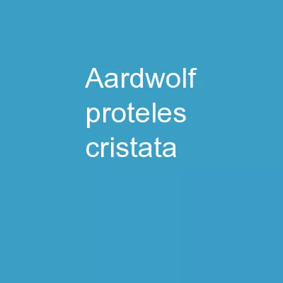 Aardwolf ( Proteles   cristata