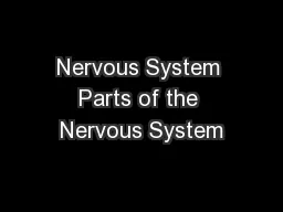 Nervous System Parts of the Nervous System