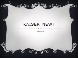 Kaiser Newt Cameron Habitat