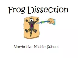 Frog Dissection Northridge Middle School