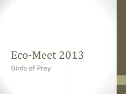 Eco-Meet 2013 Birds of Prey