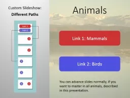 Animals Custom Slideshow: