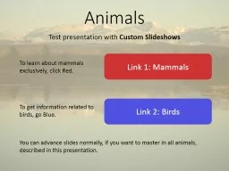Animals Test presentation with