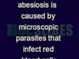 Babesia B abesiosis is  caused by microscopic parasites that infect red blood cells